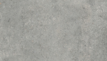 244-218-Anima-Grigio