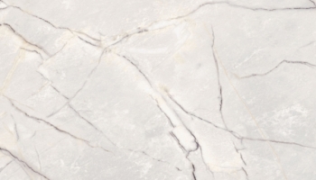 265-592-Greylac-Platinum