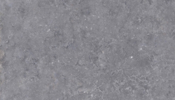 302-442-Belgian-Blue