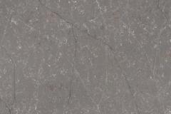 Forest Garrigue 4020